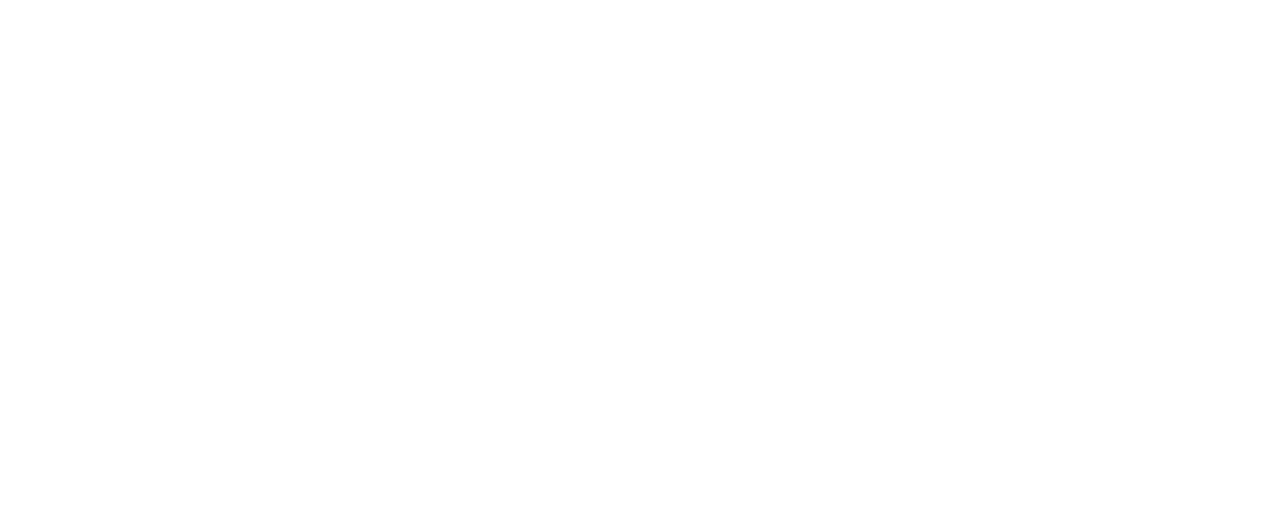 SKYLAB White Logo